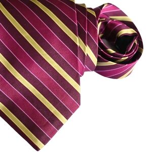 Express Design Studio Neck Tie. Fuschia, Burgandy, Chartreuse